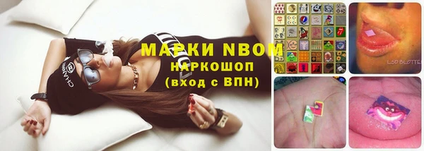 гидропоника Нязепетровск