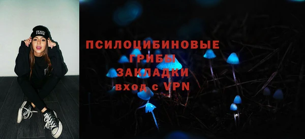 не бодяженный Новодвинск