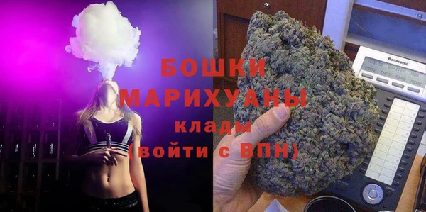 не бодяженный Новодвинск