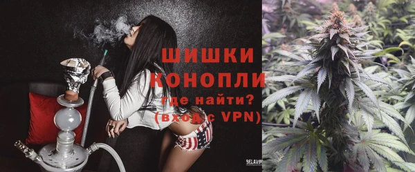 эйфоретик Новозыбков