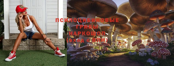 эйфоретик Новозыбков