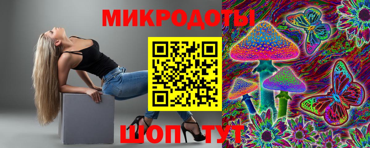 Галлюциногенные грибы Cubensis  Галлюциногенные грибы мицелий  Знаменск  Вход с VPN 