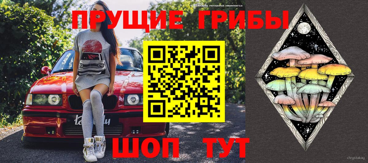 Псилоцибиновые грибы мицелий  Галлюциногенные грибы мухоморы  Знаменск 