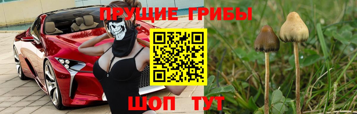 Галлюциногенные грибы мицелий Знаменск