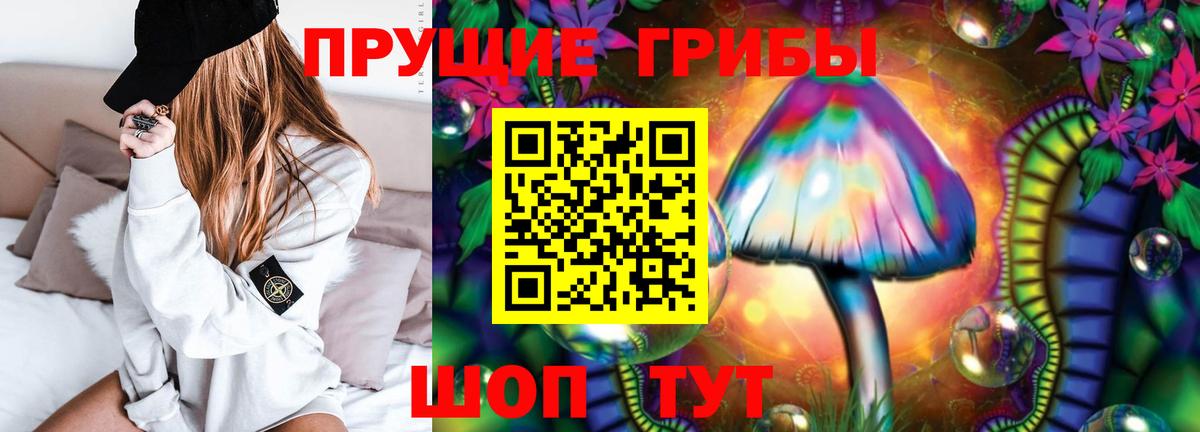 Галлюциногенные грибы прущие грибы Знаменск