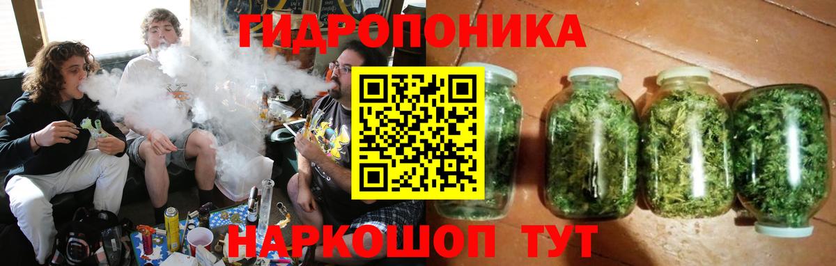 Канабис гибрид Знаменск